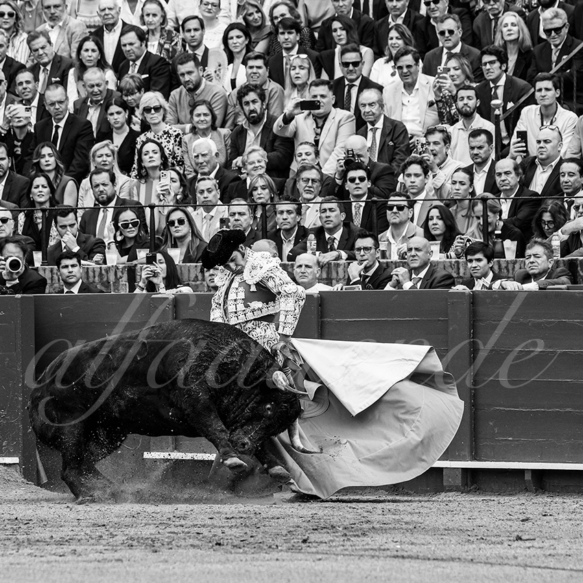 20250505 sevilla 004 fd