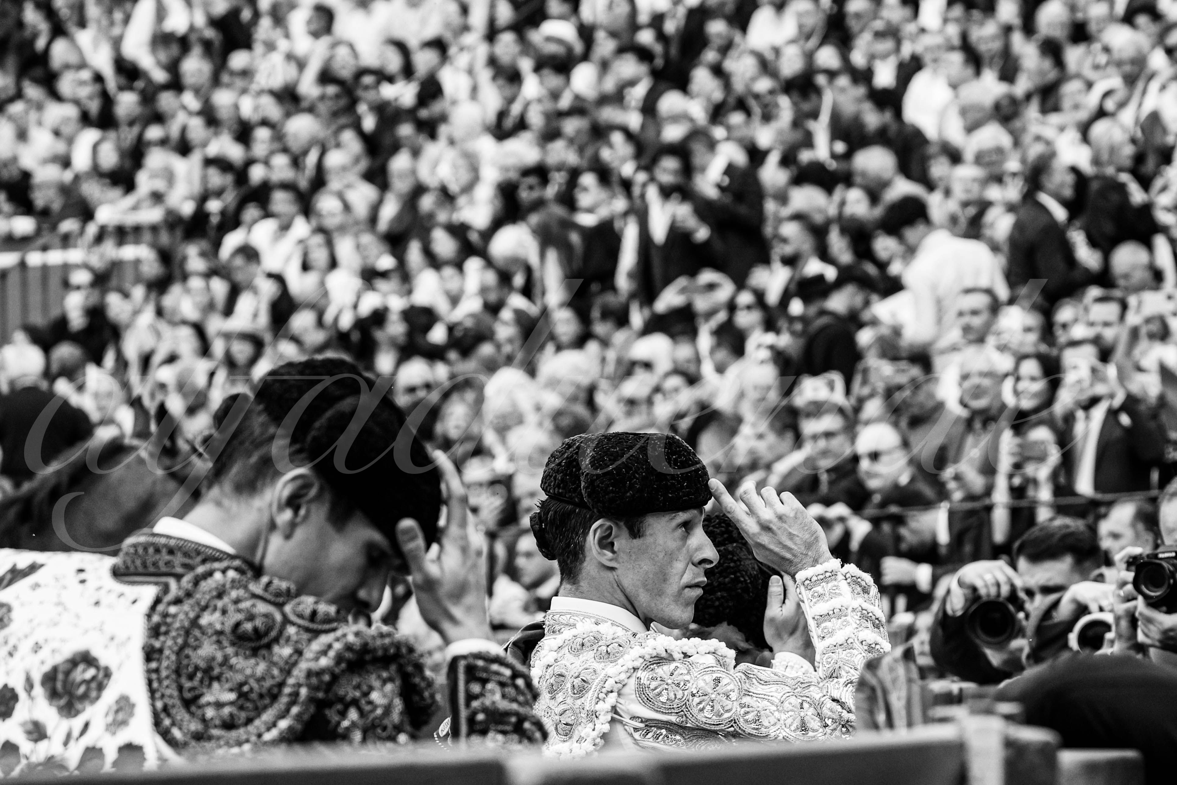 20250505 sevilla 003 fd