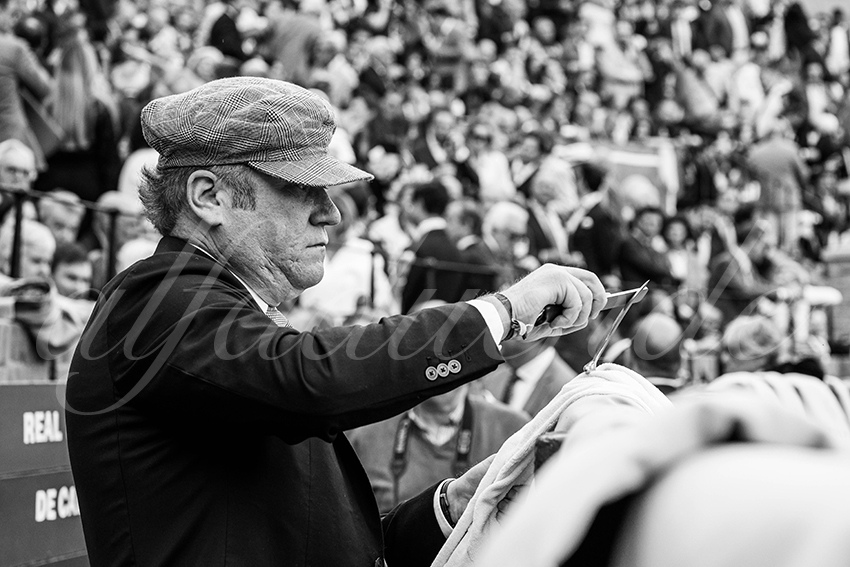 20250505 sevilla 002 fd