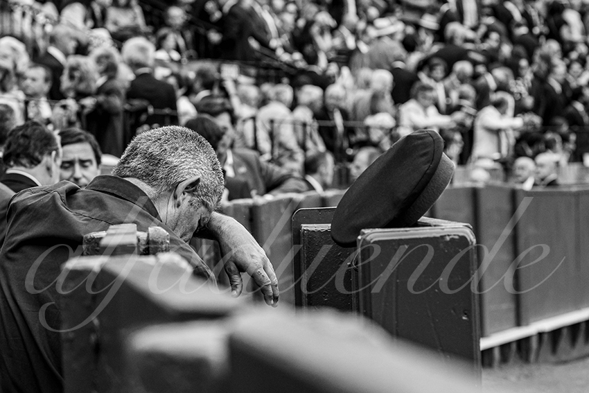 20250505 sevilla 001 fd