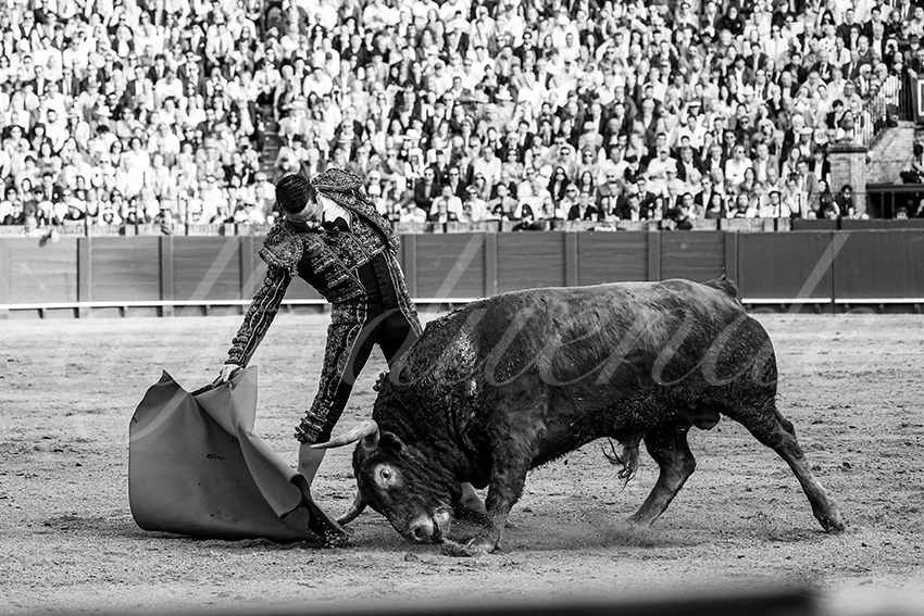 20250505 sevilla 022 fd