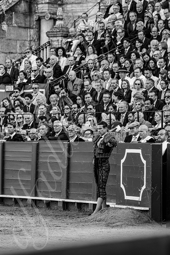 20250505 sevilla 021 fd