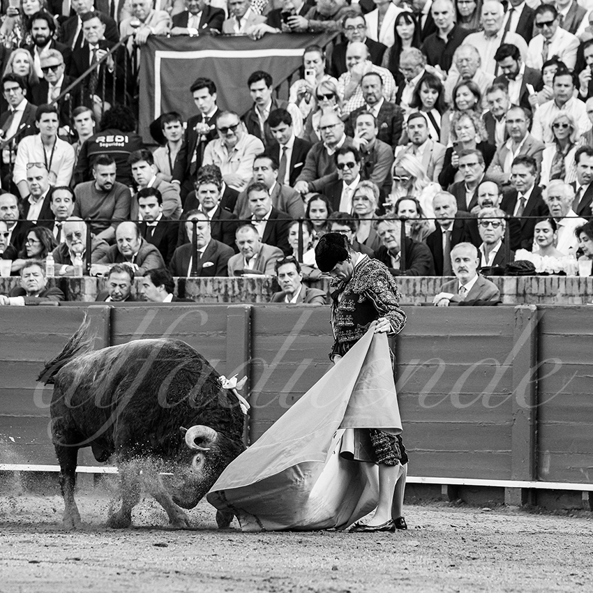 20250505 sevilla 020 fd