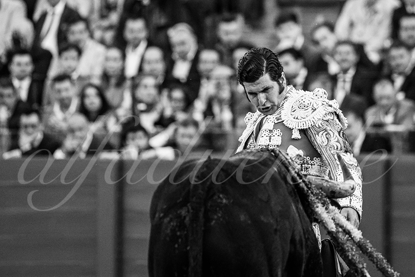 20250505 sevilla 018 fd