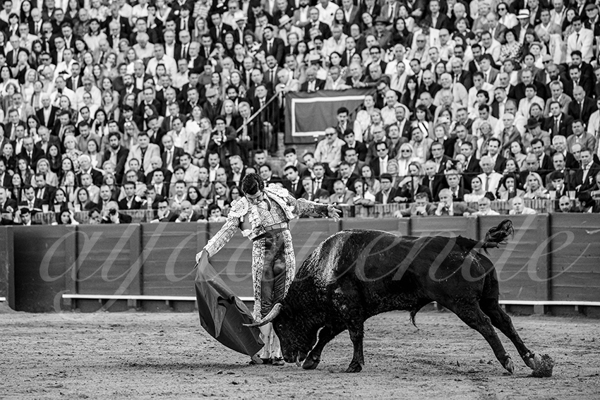 20250505 sevilla 017 fd