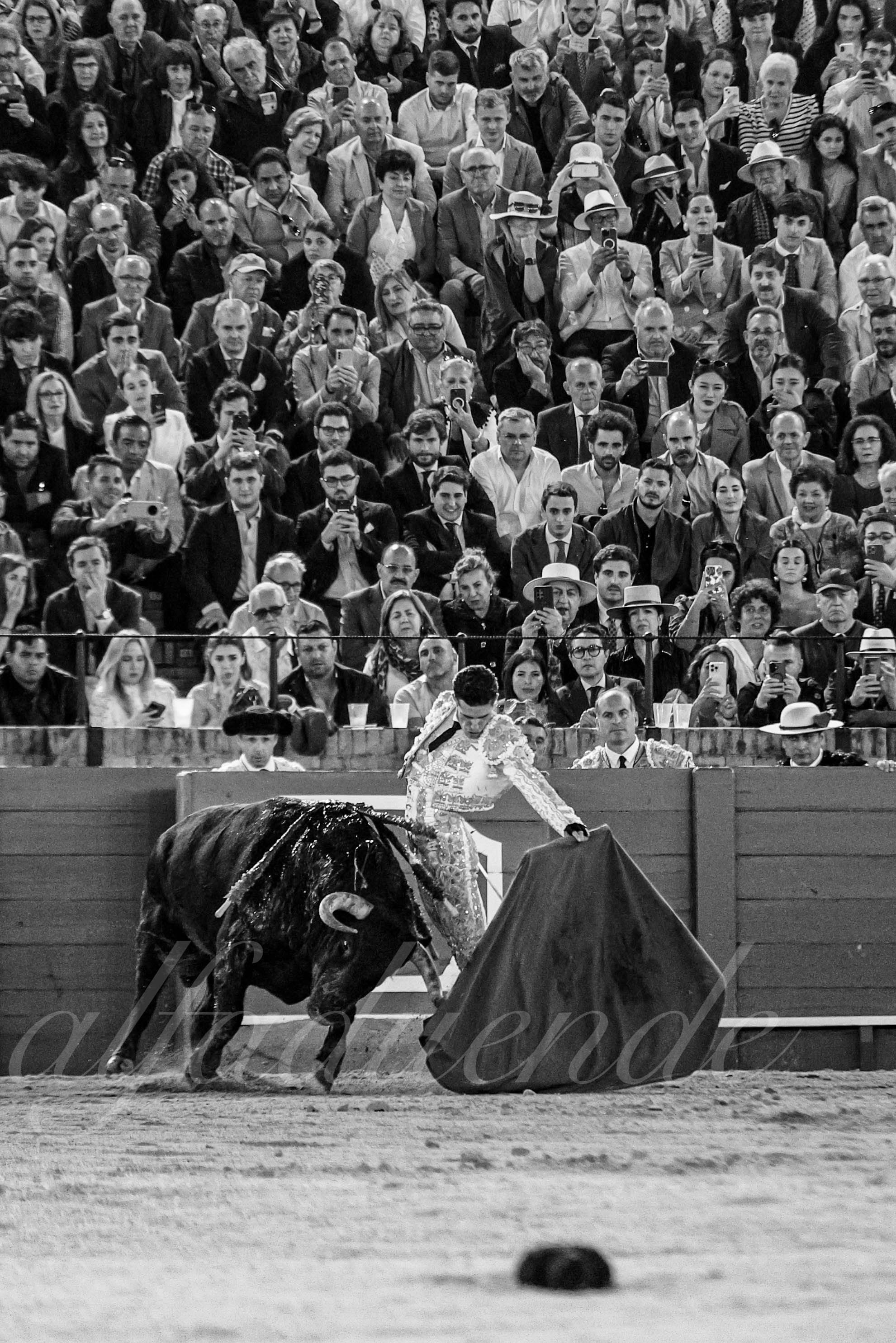 20250505 sevilla 037 fd