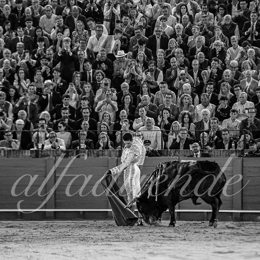 20250505 sevilla 036 fd