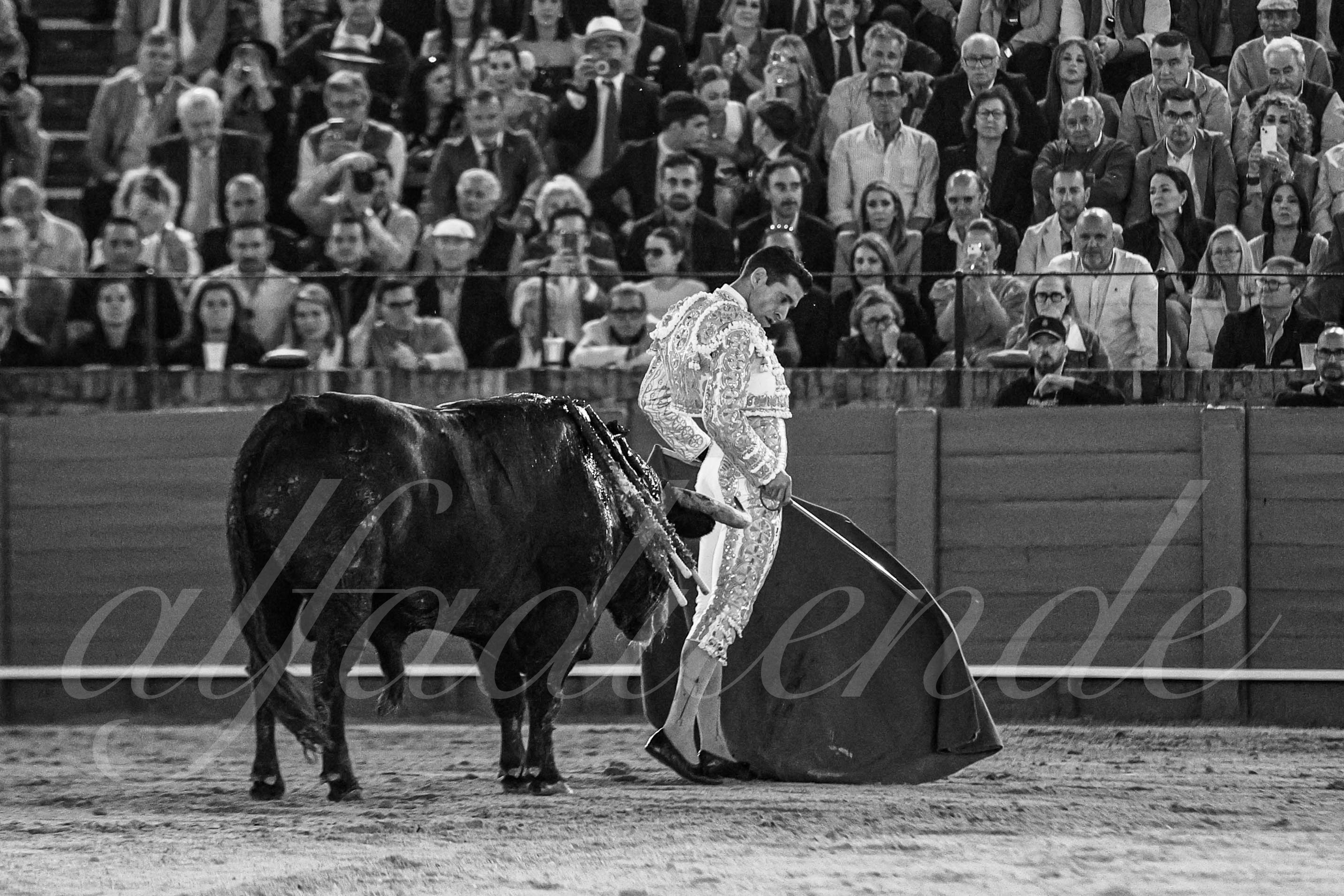 20250505 sevilla 035 fd