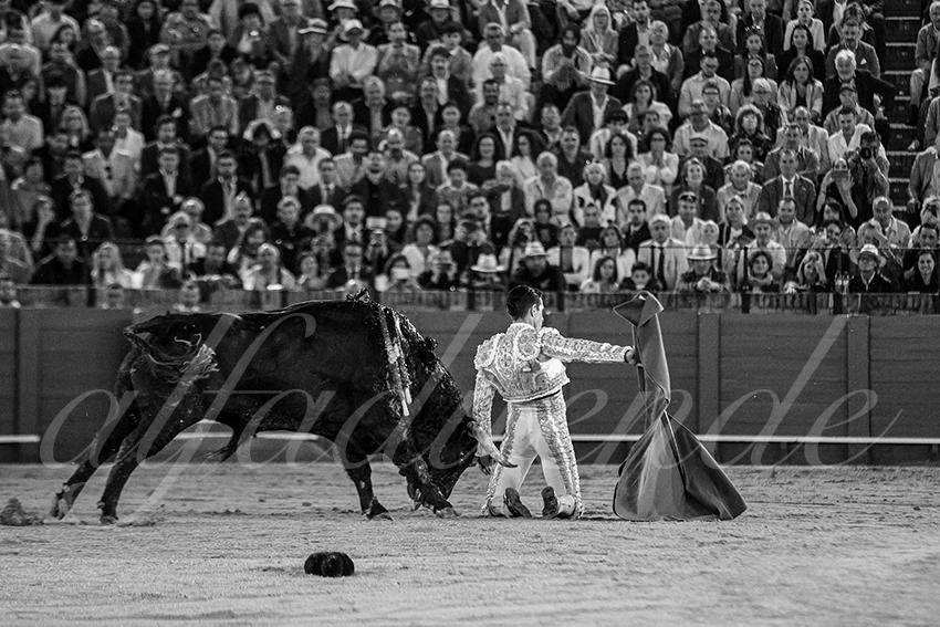 20250505 sevilla 034 fd