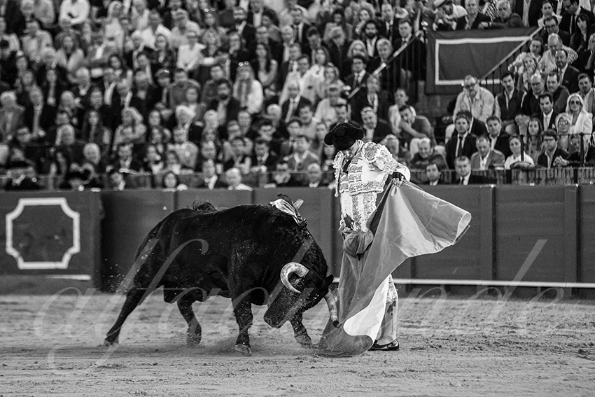 20250505 sevilla 032 fd