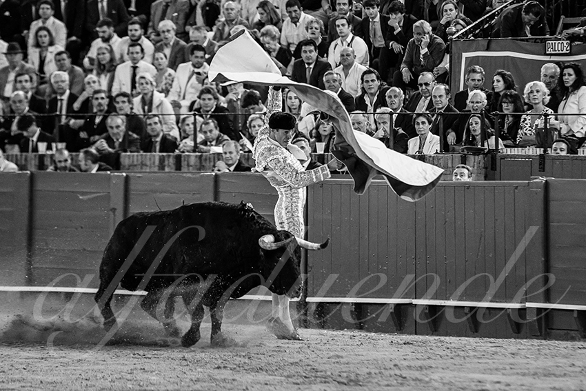 20250505 sevilla 031 fd