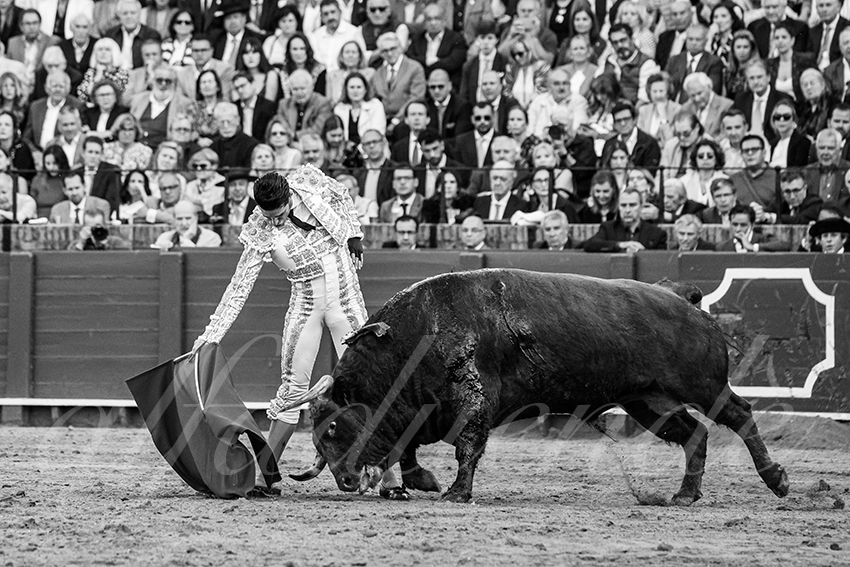 20250505 sevilla 030 fd