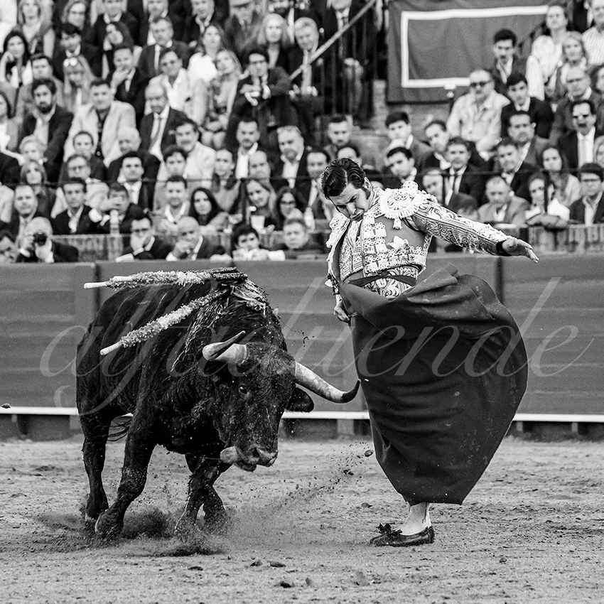 20250505 sevilla 016 fd