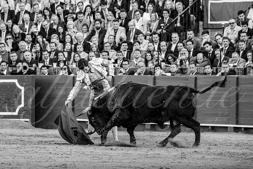 20250505 sevilla 015 fd