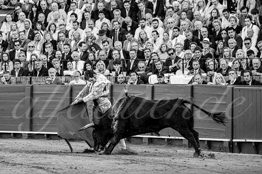 20250505 sevilla 014 fd