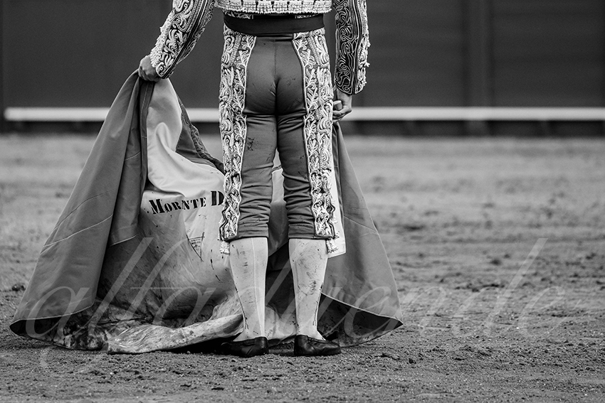 20250505 sevilla 013 fd