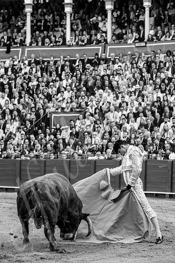 20250505 sevilla 029 fd