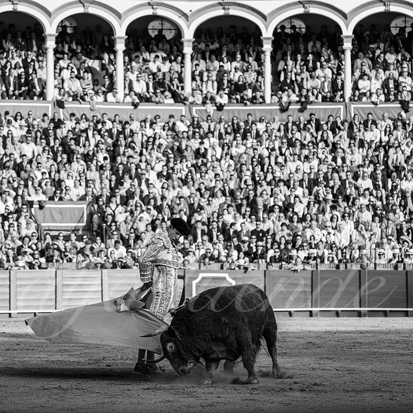 20250505 sevilla 028 fd