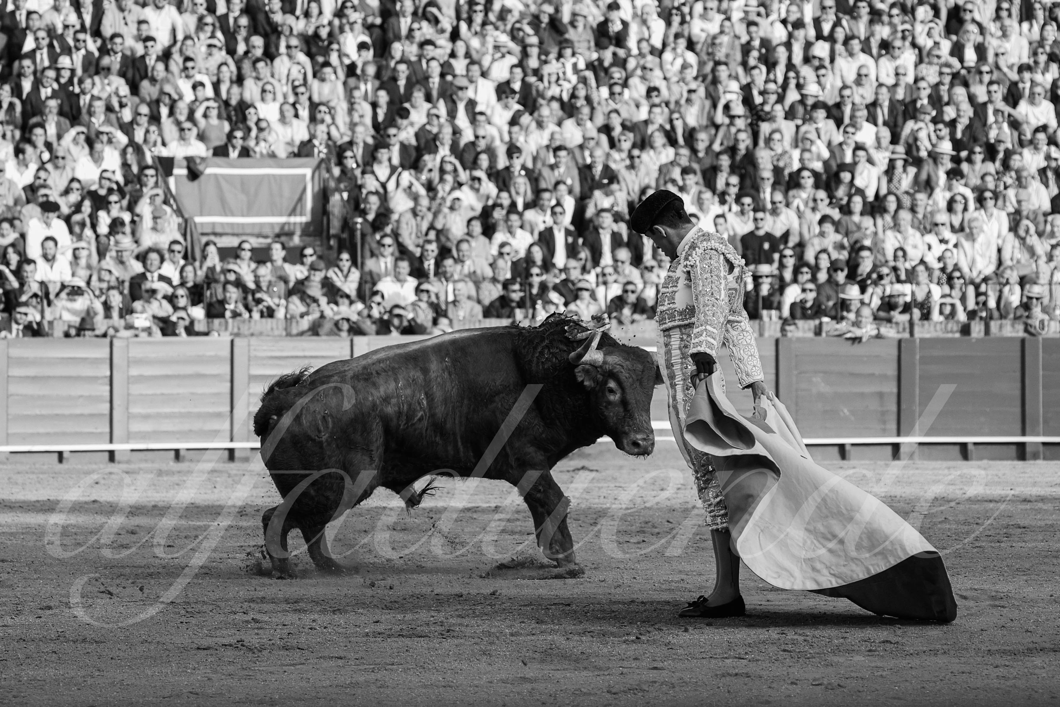 20250505 sevilla 027 fd