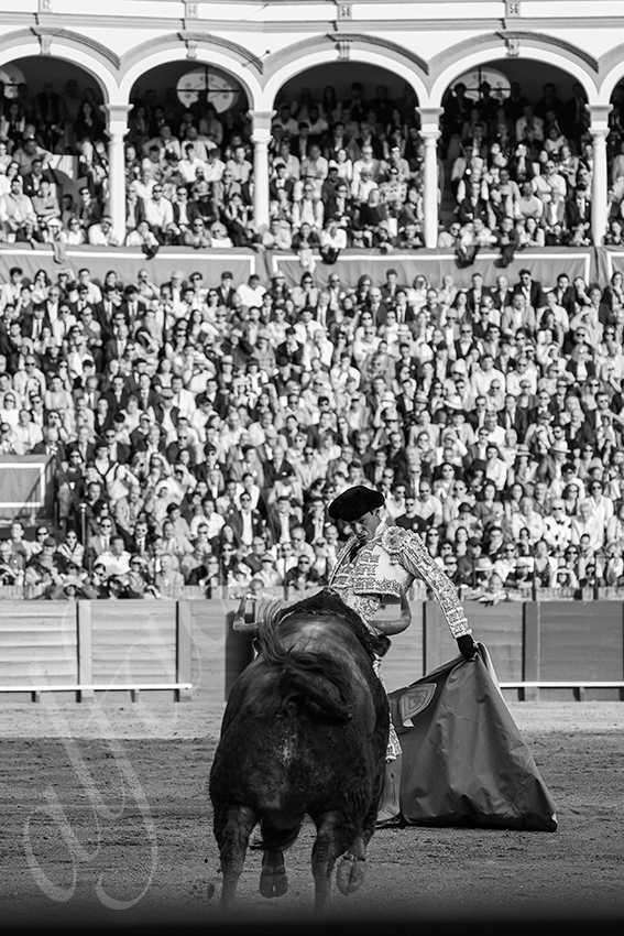 20250505 sevilla 026 fd