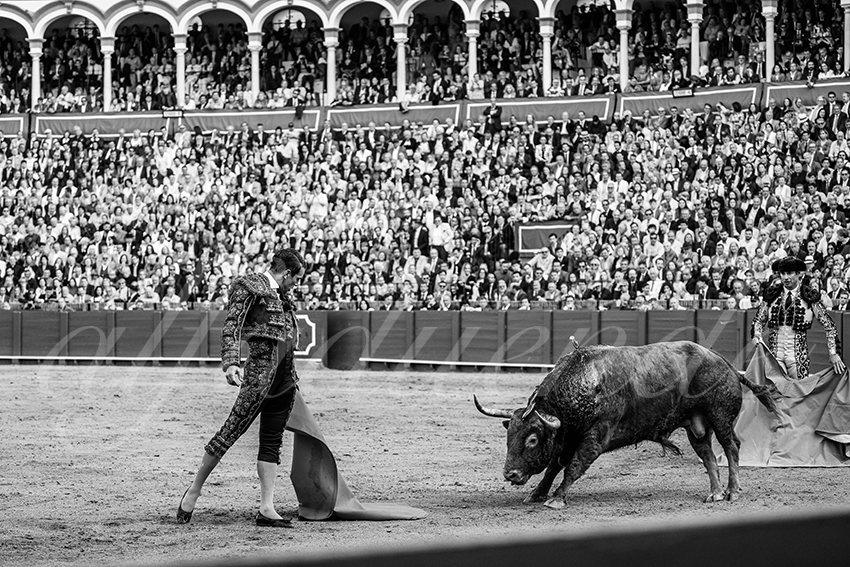 20250505 sevilla 025 fd