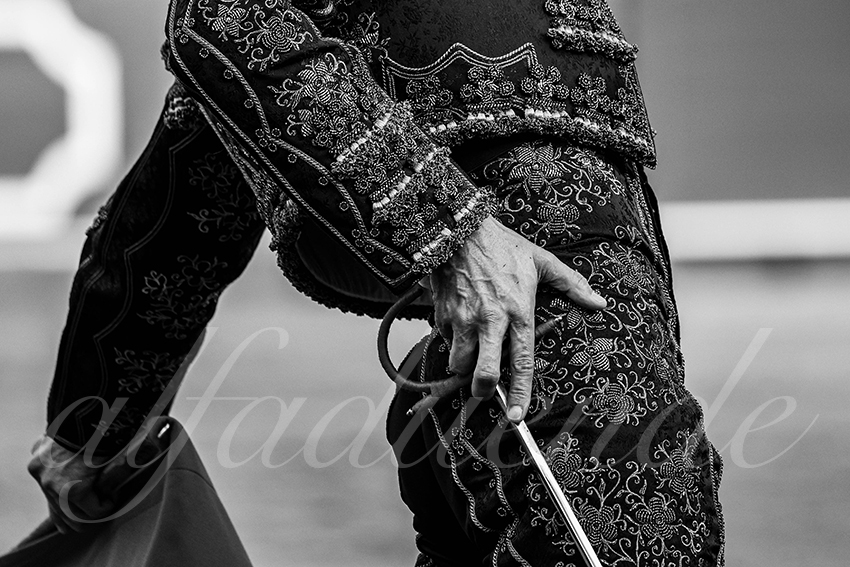 20250505 sevilla 024 fd