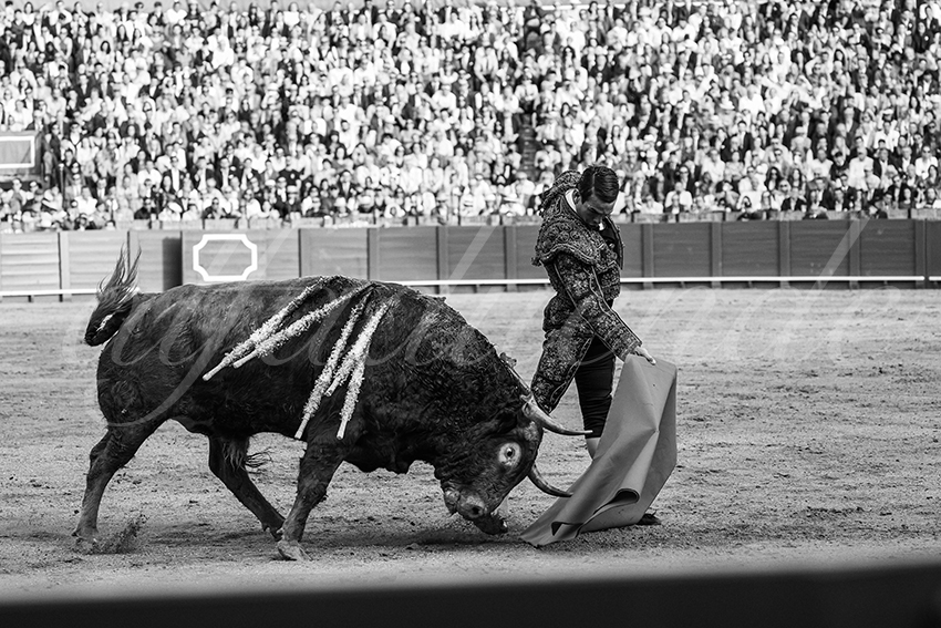 20250505 sevilla 023 fd