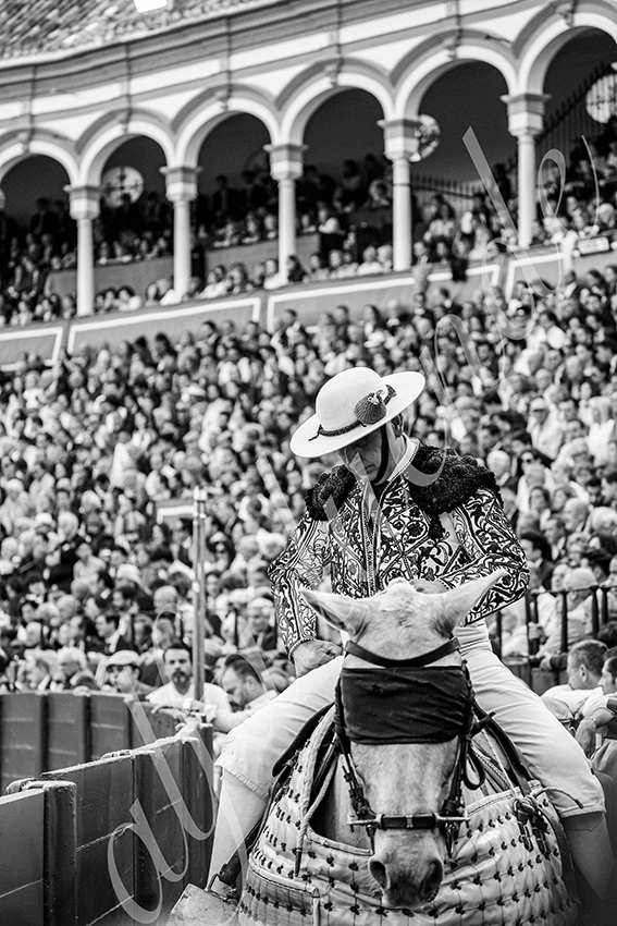 20250505 sevilla cuadrillas 006 copie