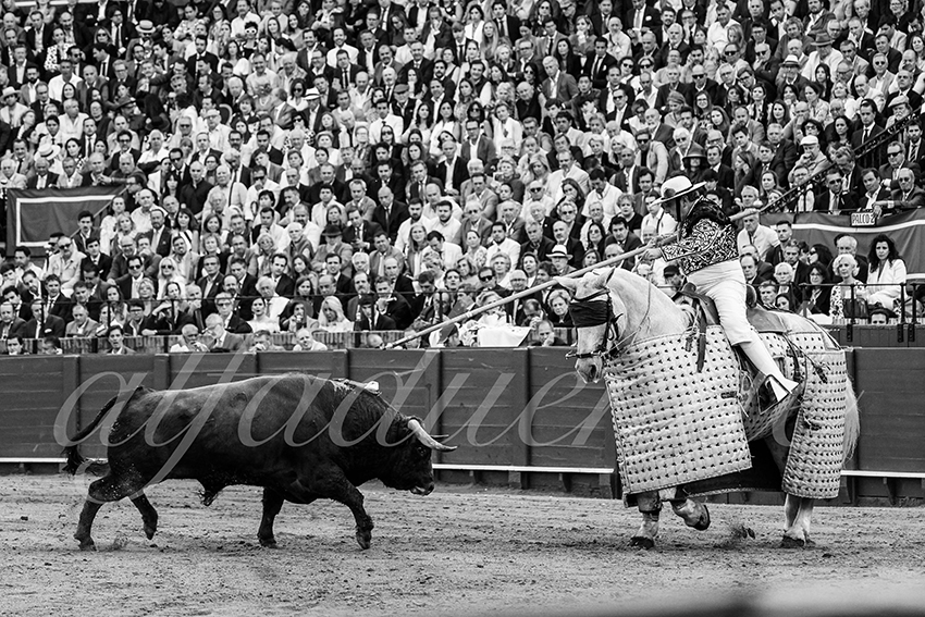 20250505 sevilla cuadrillas 005 copie