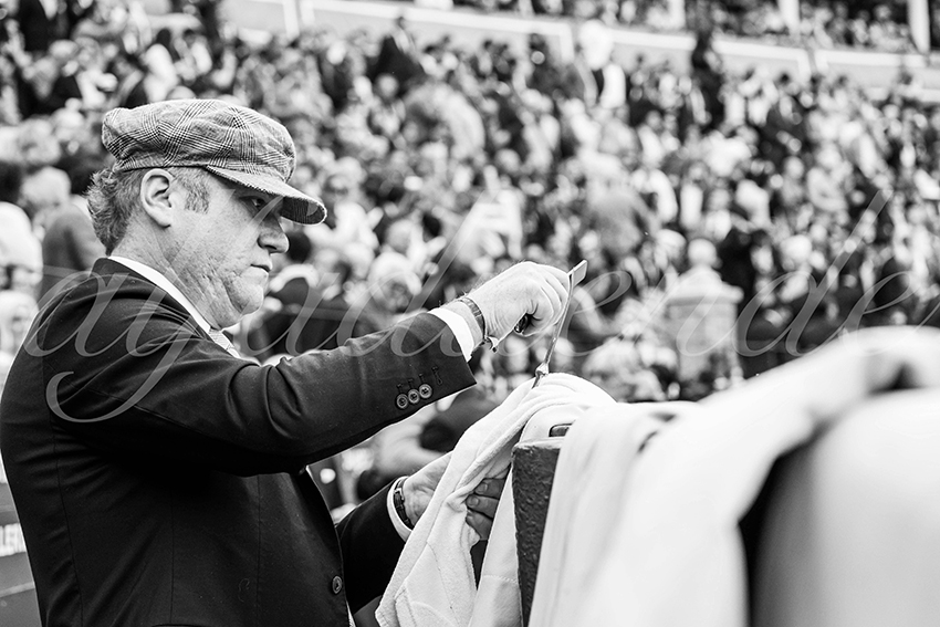 20250505 sevilla cuadrillas 001 copie