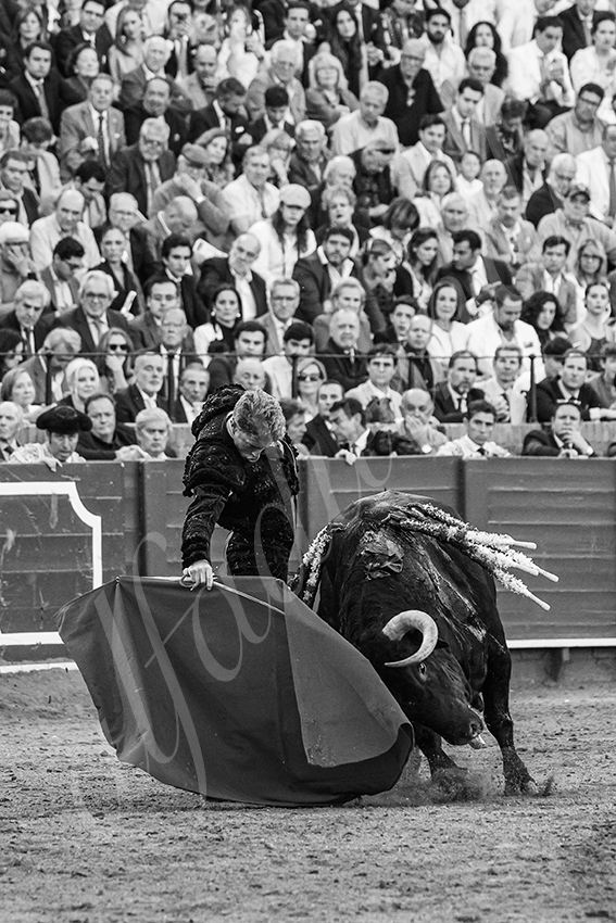 20250506 sevilla 011 fd