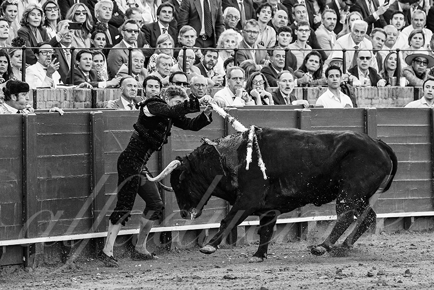 20250506 sevilla 010 fd