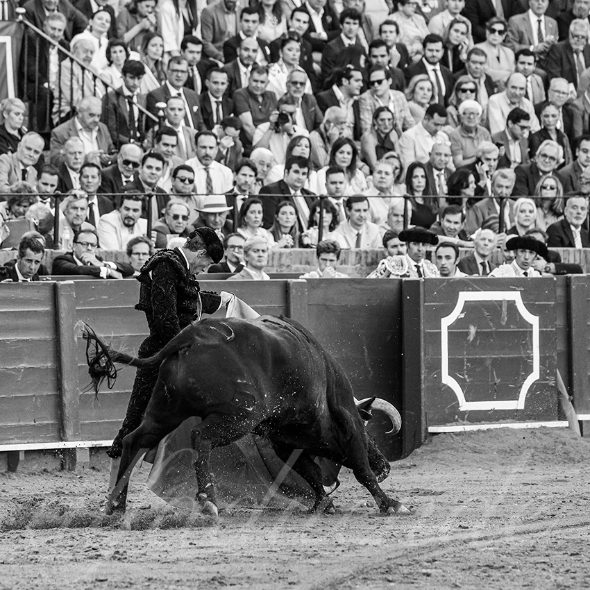 20250506 sevilla 009 fd