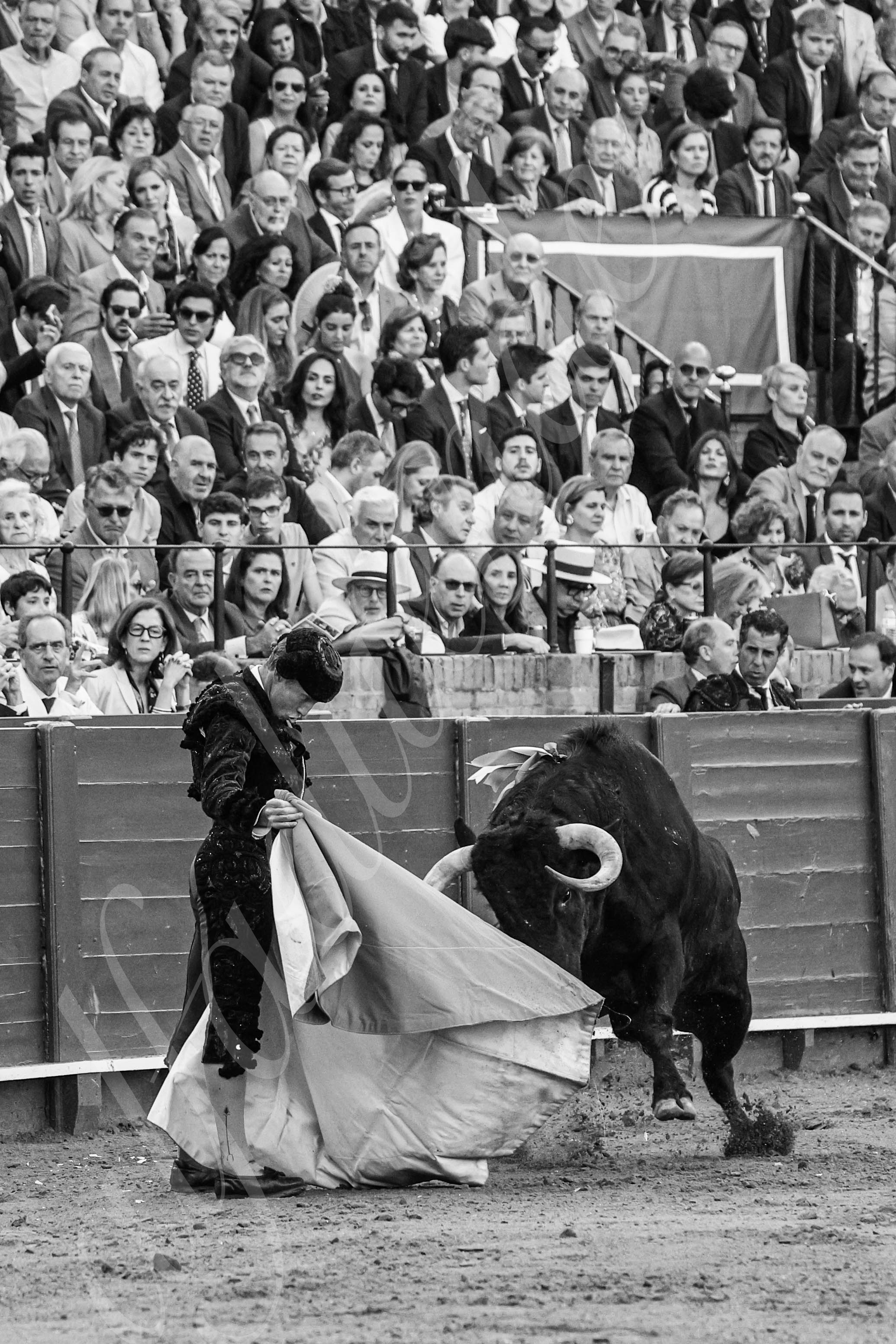 20250506 sevilla 008 fd