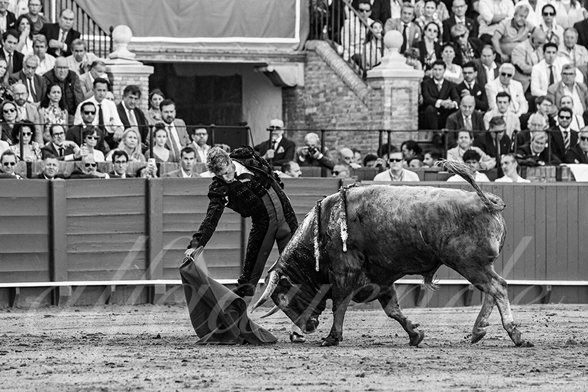 20250506 sevilla 007 fd