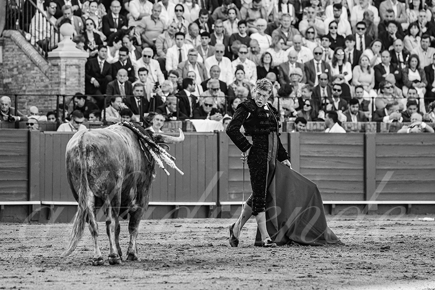 20250506 sevilla 006 fd