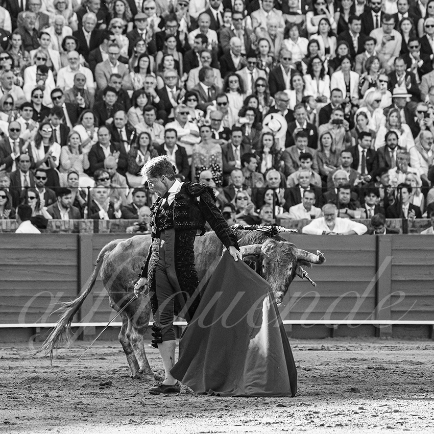 20250506 sevilla 005 fd