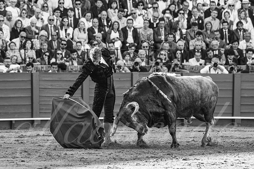 20250506 sevilla 004 fd