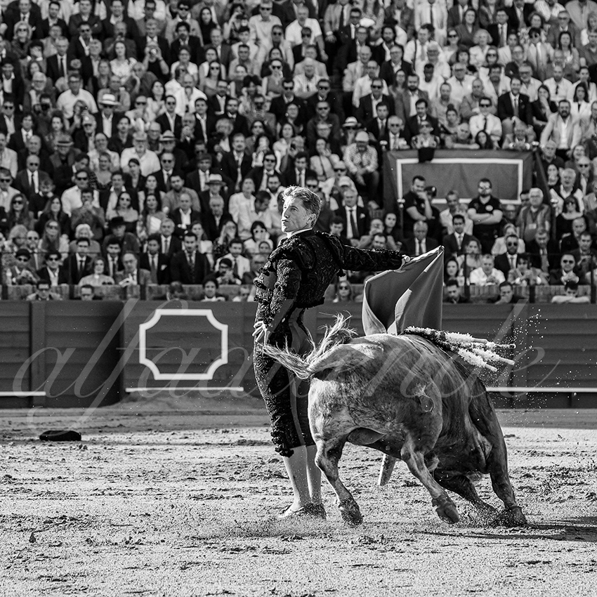 20250506 sevilla 003 fd