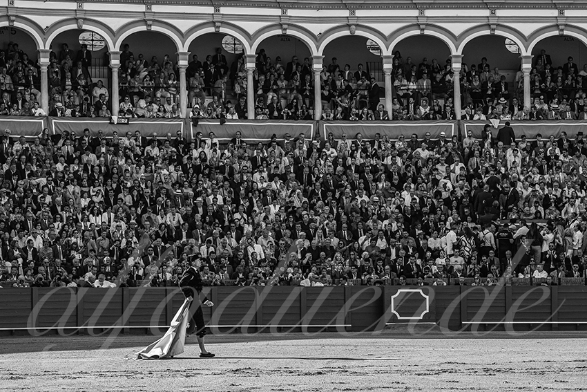 20250506 sevilla 002 fd