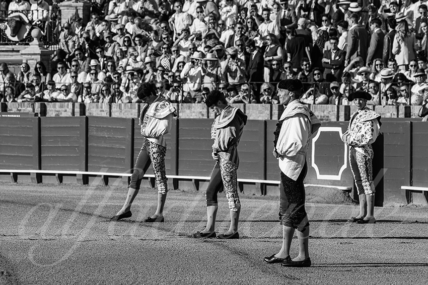 20250506 sevilla 001 fd