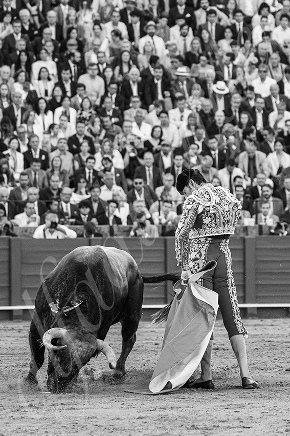 20250506 sevilla 022 fd