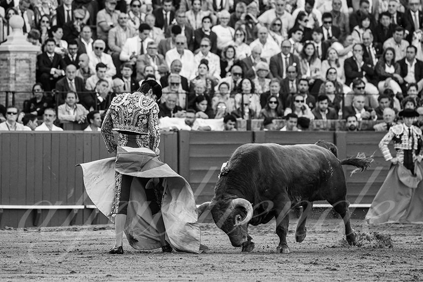 20250506 sevilla 021 fd