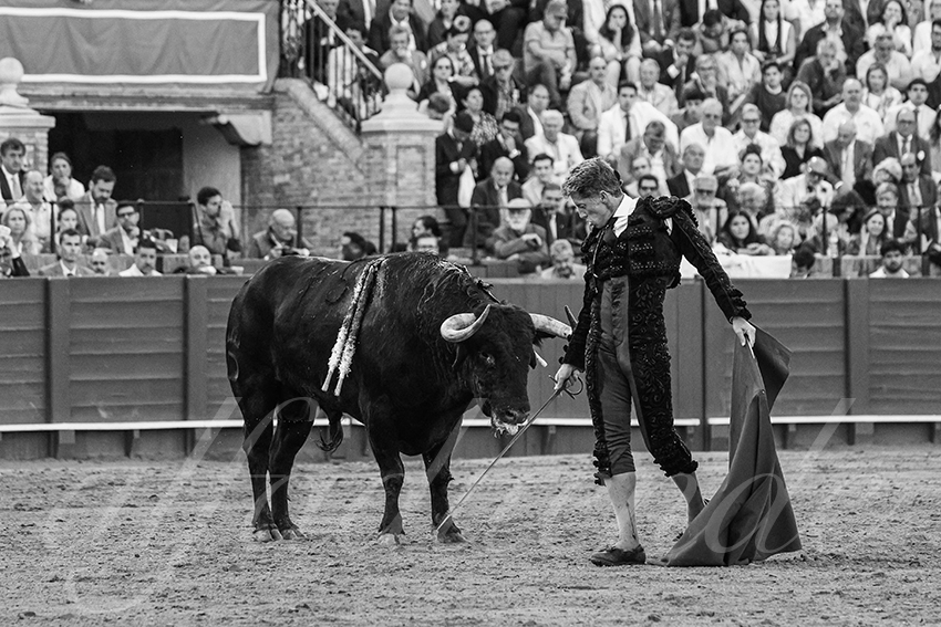 20250506 sevilla 019 fd