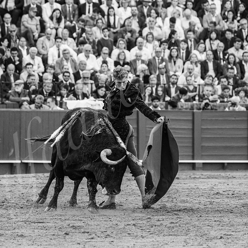 20250506 sevilla 018 fd