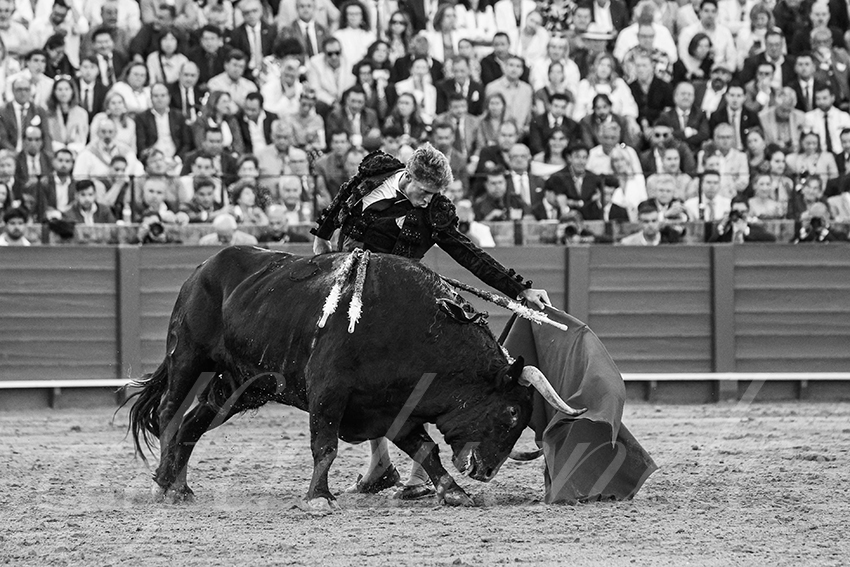 20250506 sevilla 017 fd