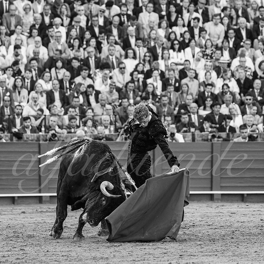 20250506 sevilla 016 fd