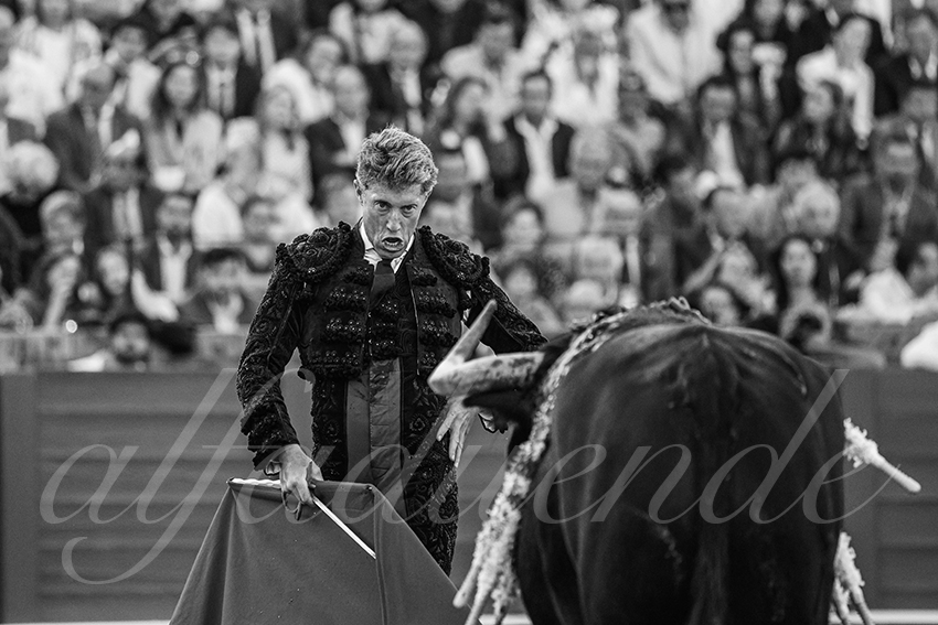 20250506 sevilla 015 fd