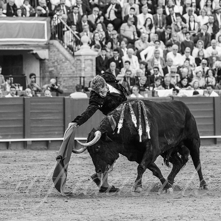 20250506 sevilla 014 fd