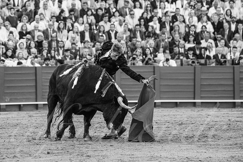 20250506 sevilla 013 fd